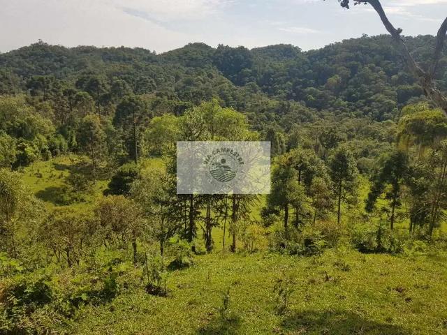 Sítio e chácara venda em Região Geográfica Imediata de São Bento do Sul-Rio Negrinho, Campo Alegre