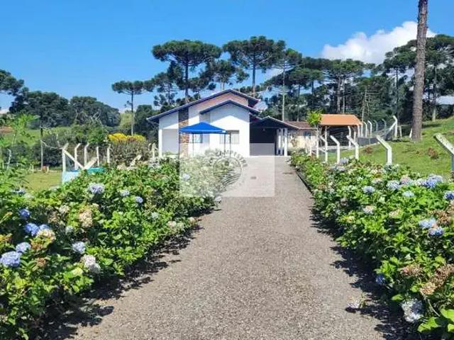 Sítio e chácara venda em Região Geográfica Imediata de Iporá, Palestina de Goiás