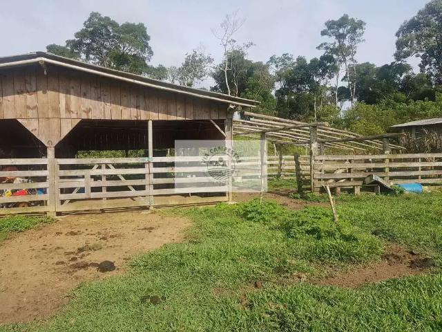 Sítio e chácara venda em Região Geográfica Imediata de Iporá, Palestina de Goiás