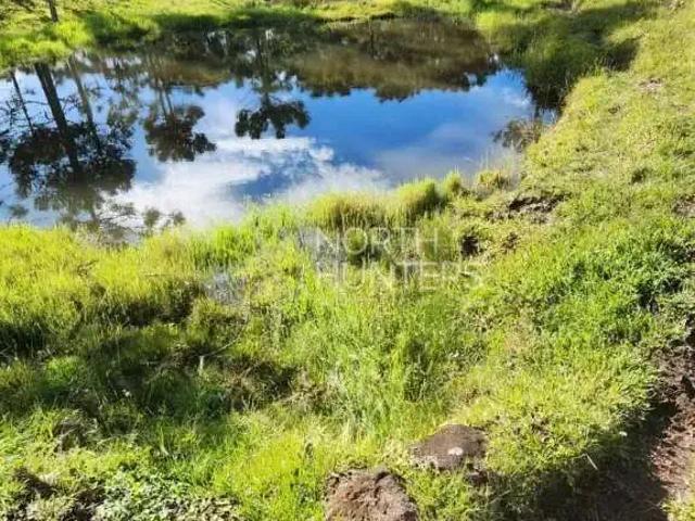 Sítio e chácara venda em Região Geográfica Imediata de São Bento do Sul-Rio Negrinho, Campo Alegre