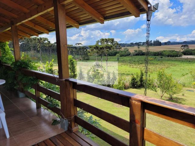 Sítio e chácara venda em Região Geográfica Imediata de São Bento do Sul-Rio Negrinho, Campo Alegre