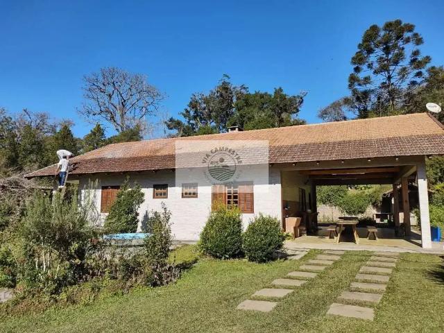 Sítio e chácara venda em Região Geográfica Imediata de São Bento do Sul-Rio Negrinho, Campo Alegre