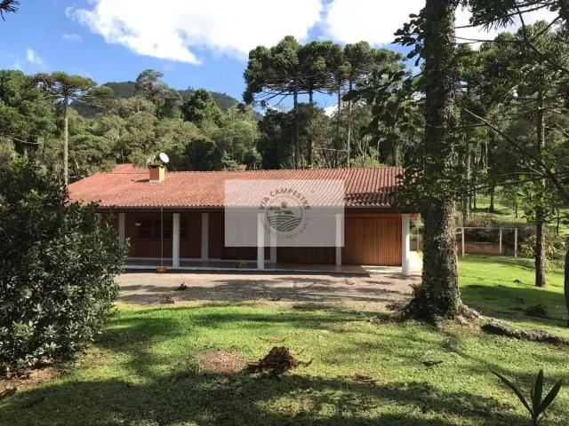 Sítio e chácara venda em Região Geográfica Imediata de São Bento do Sul-Rio Negrinho, Campo Alegre