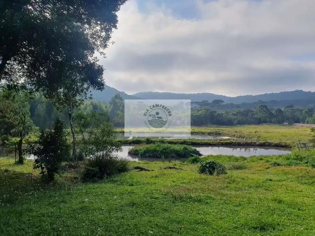 Sítio e chácara venda em Região Geográfica Imediata de São Bento do Sul-Rio Negrinho, Campo Alegre
