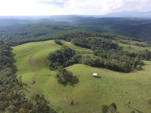 Sítio e chácara venda em Campo Alegre, Região Geográfica Intermediária de Joinville