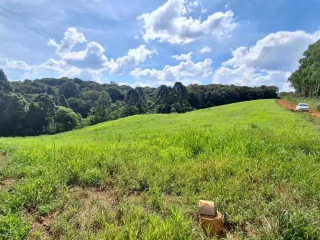 Sítio e chácara venda em Região Geográfica Imediata de São Bento do Sul-Rio Negrinho, Campo Alegre