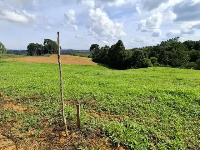 Sítio e chácara venda em Região Geográfica Imediata de São Bento do Sul-Rio Negrinho, Campo Alegre