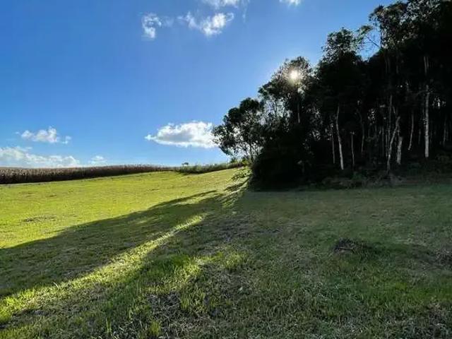 Sítio e chácara venda em Região Geográfica Imediata de São Bento do Sul-Rio Negrinho, Campo Alegre