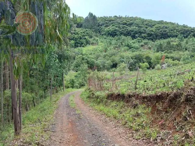 Sítio e chácara venda em Região Geográfica Imediata de São Bento do Sul-Rio Negrinho, Campo Alegre