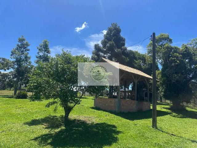 Sítio e chácara venda em Região Geográfica Imediata de São Bento do Sul-Rio Negrinho, Campo Alegre