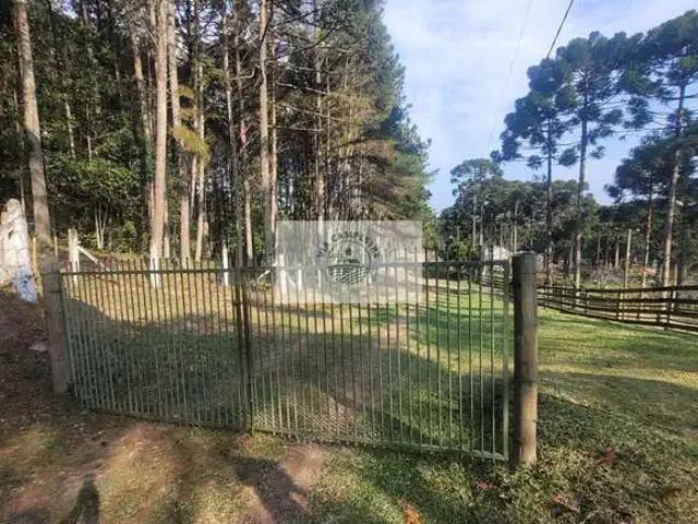 Sítio e chácara venda em Região Geográfica Imediata de São Bento do Sul-Rio Negrinho, Campo Alegre