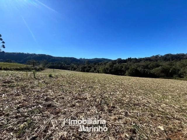 Sítio e chácara venda em Região Geográfica Imediata de São Bento do Sul-Rio Negrinho, Campo Alegre