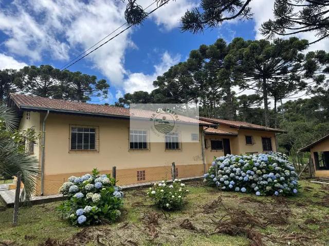 Sítio e chácara venda em Região Geográfica Imediata de São Bento do Sul-Rio Negrinho, Campo Alegre
