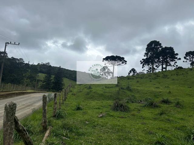 Sítio e chácara venda em Cascatas, Campo Alegre