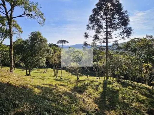 Sítio e chácara venda em Região Geográfica Imediata de São Bento do Sul-Rio Negrinho, Campo Alegre