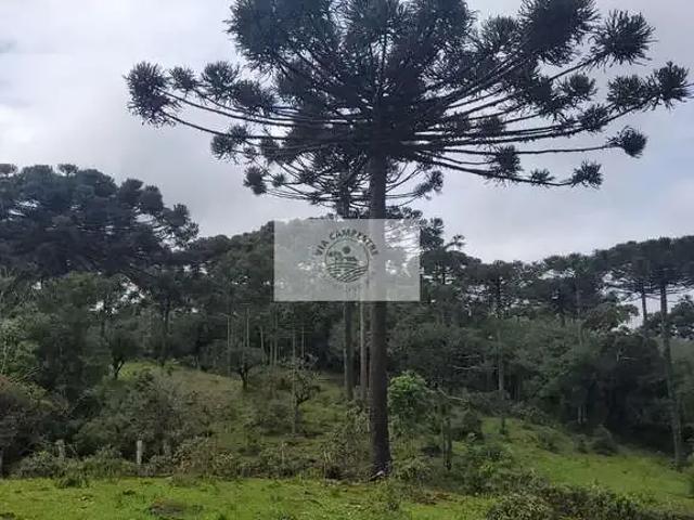 Sítio e chácara venda em Região Geográfica Imediata do Rio de Janeiro, Região Metropolitana do Rio de Janeiro