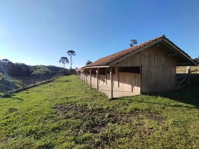 Sítio e chácara venda em Campo Alegre, Região Geográfica Intermediária de Joinville