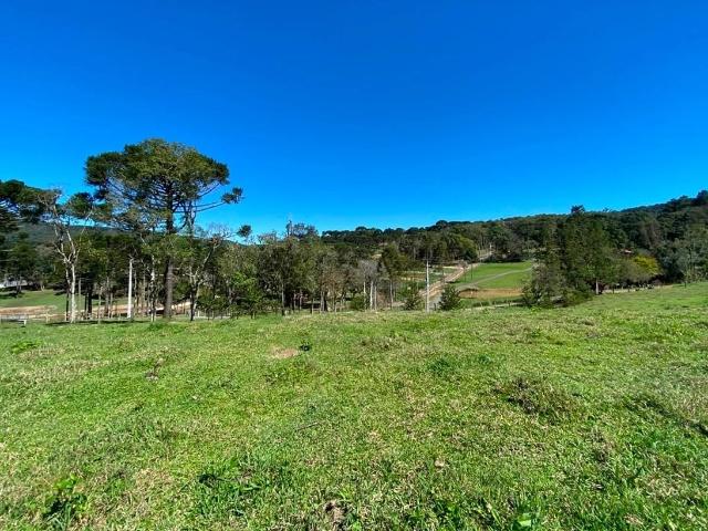 Sítio e chácara venda em Região Geográfica Imediata de São Bento do Sul-Rio Negrinho, Campo Alegre