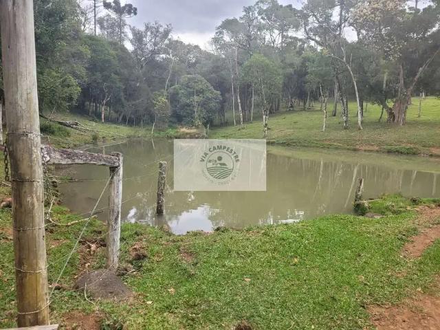 Sítio e chácara venda em Região Geográfica Imediata de São Bento do Sul-Rio Negrinho, São Bento do Sul