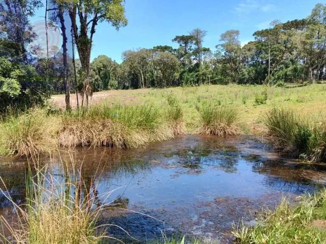 Sítio e chácara venda em Região Geográfica Imediata de São Bento do Sul-Rio Negrinho, Campo Alegre