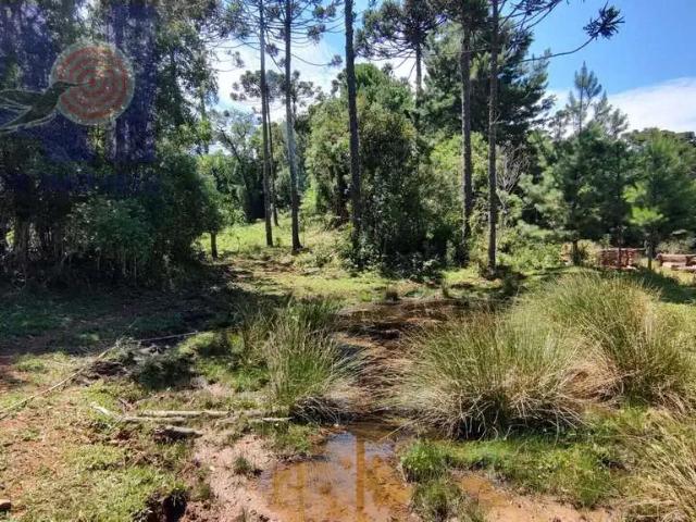 Sítio e chácara venda em Região Geográfica Imediata de São Bento do Sul-Rio Negrinho, Campo Alegre
