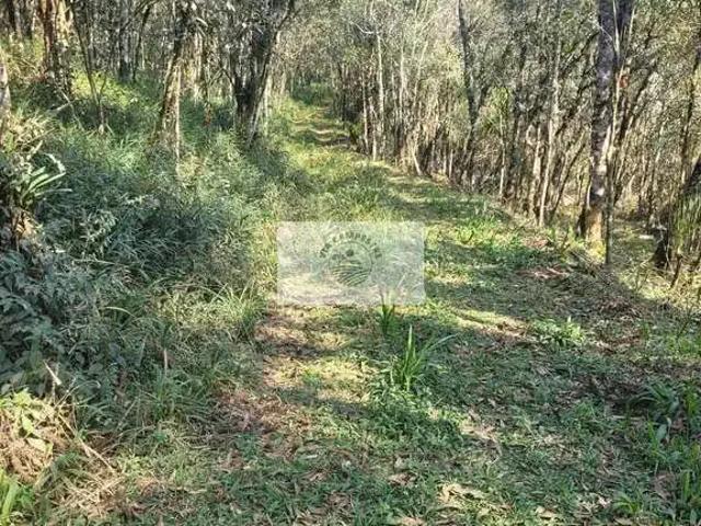 Sítio e chácara venda em Região Nordeste