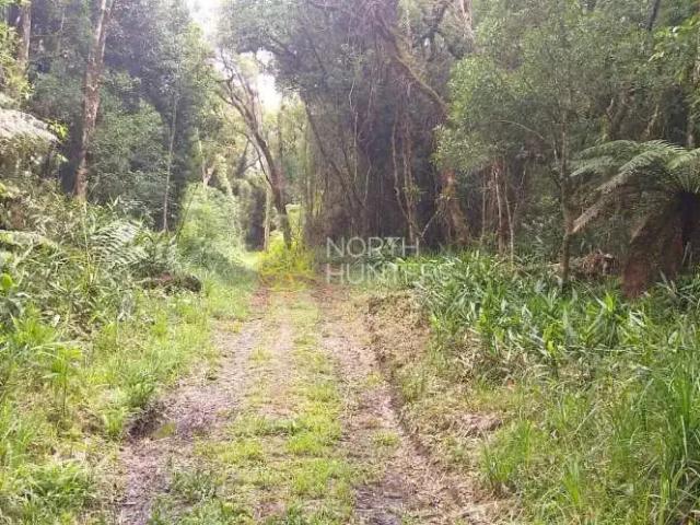 Sítio e chácara venda em Região Geográfica Imediata de São Bento do Sul-Rio Negrinho, Campo Alegre