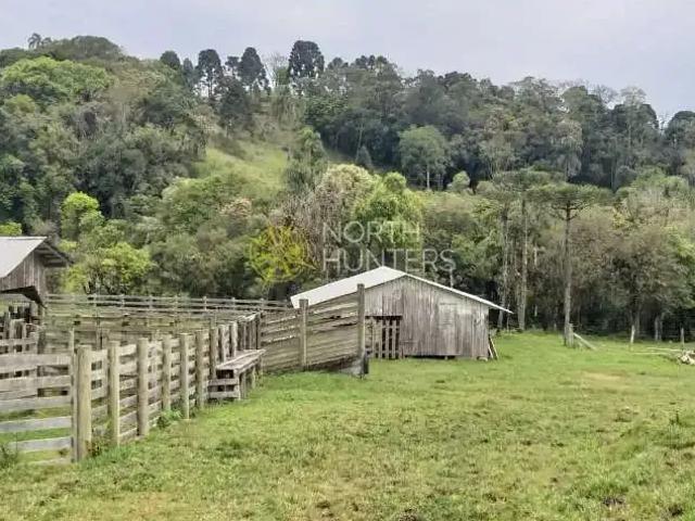 Sítio e chácara venda em Região Geográfica Imediata de São Bento do Sul-Rio Negrinho, Campo Alegre