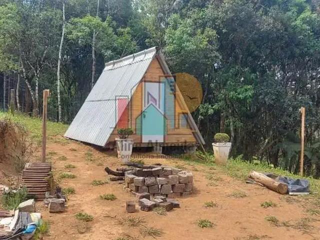 Sítio e chácara venda em Região Geográfica Imediata de São Bento do Sul-Rio Negrinho, Campo Alegre
