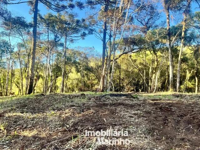 Sítio e chácara venda em Região Geográfica Imediata de São Bento do Sul-Rio Negrinho, Campo Alegre