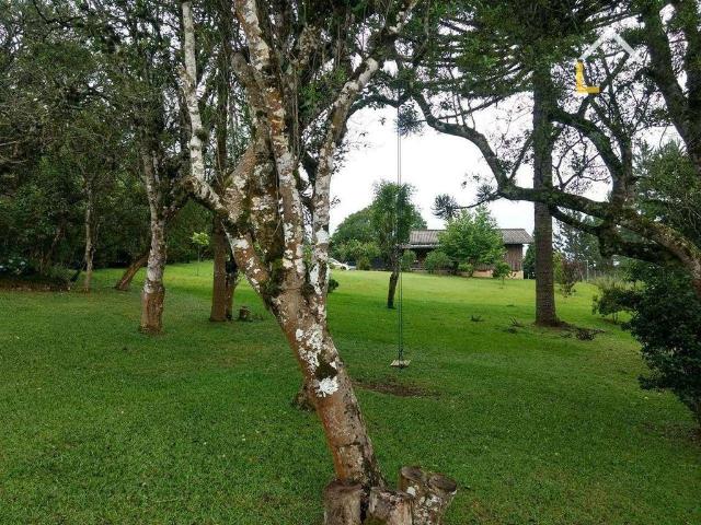 Sítio e chácara venda em Região Geográfica Imediata de São Bento do Sul-Rio Negrinho, Campo Alegre