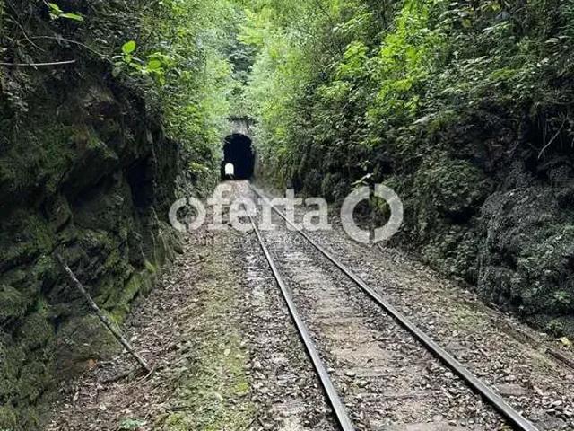 Sítio e chácara venda em Região Geográfica Imediata de Curitiba, Campo do Tenente