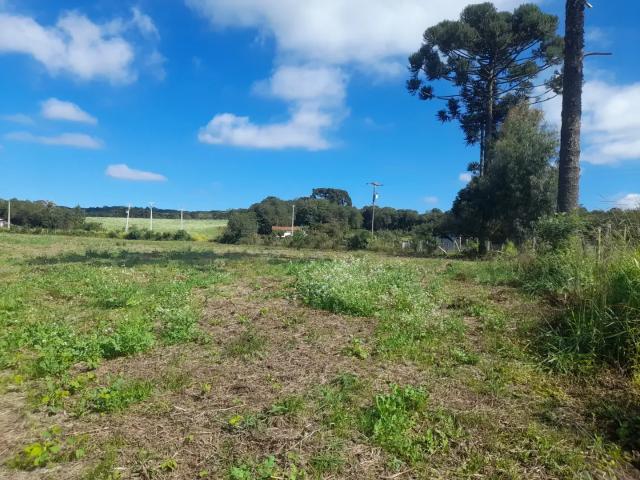 Sítio e chácara venda em Região Geográfica Imediata de Curitiba, Campo do Tenente