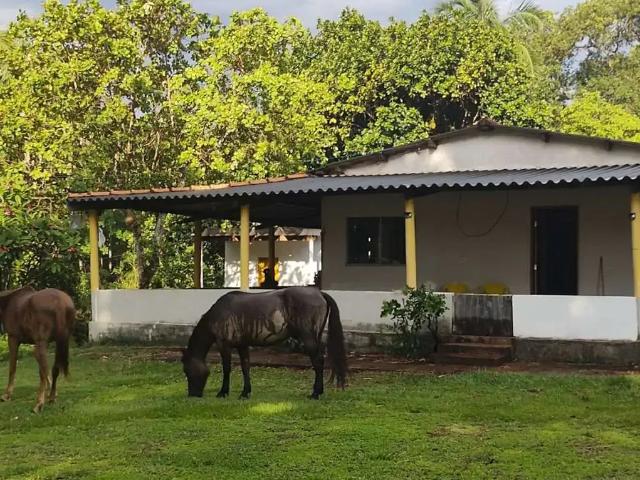 Sítio e chácara venda em Região Geográfica Imediata de Campo Grande, Campo Grande