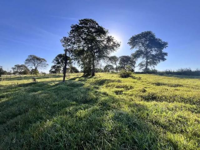 Sítio e chácara venda em Região Geográfica Imediata de Campo Grande, Campo Grande