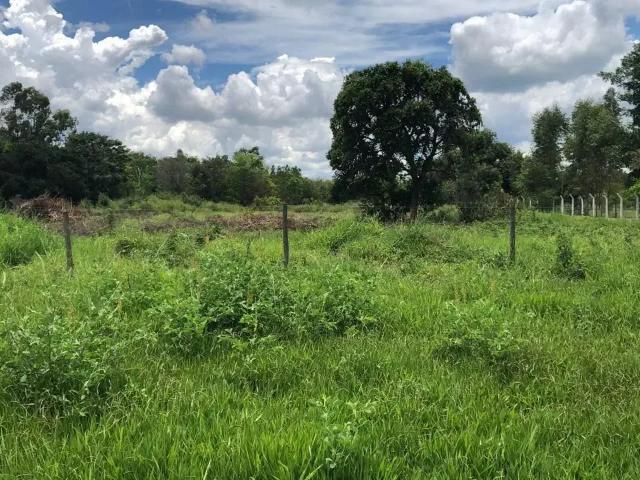 Sítio e chácara venda em Região Geográfica Imediata de Campo Grande, Campo Grande