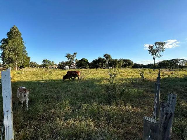 Sítio e chácara venda em Região Geográfica Imediata de Campo Grande, Campo Grande