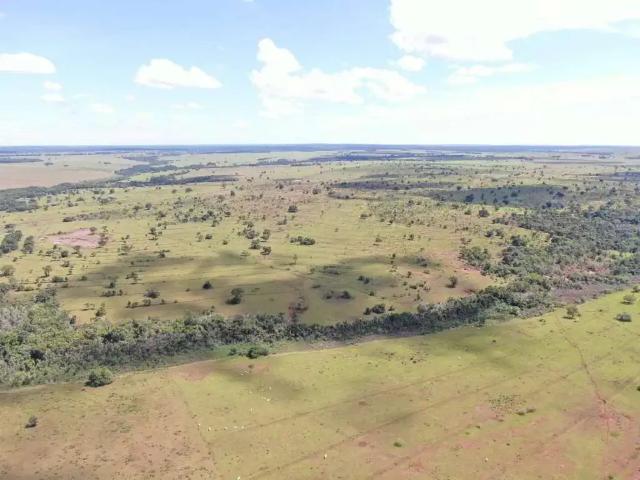 Sítio e chácara venda em Região Geográfica Imediata de Campo Grande, Campo Grande