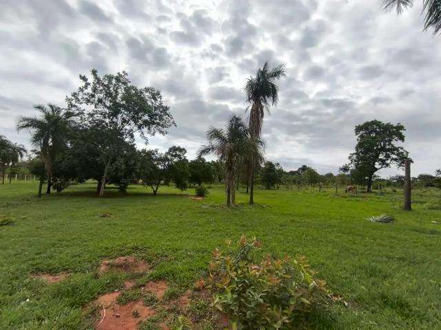 Sítio e chácara venda em Região Geográfica Imediata de Campo Grande, Campo Grande