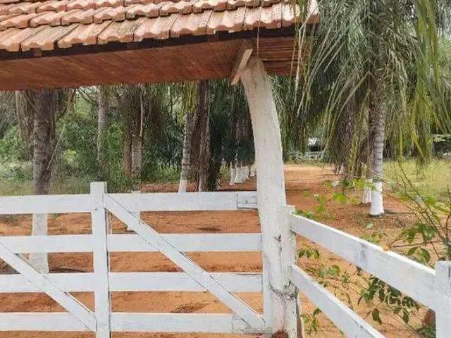 Sítio e chácara venda em Região Geográfica Imediata de Campo Grande, Campo Grande