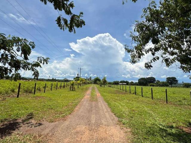 Sítio e chácara venda em Campo Grande