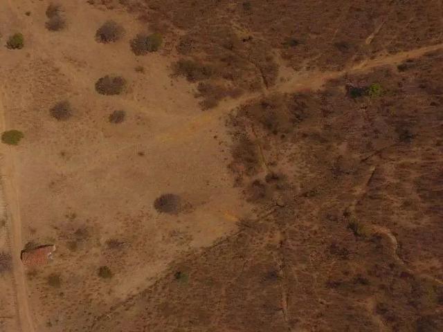 Sítio e chácara venda em Região Geográfica Imediata de Campo Grande, Campo Grande