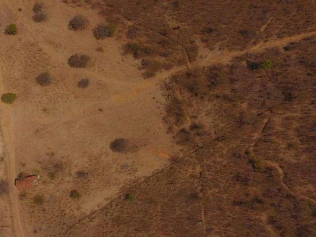 Sítio e chácara venda em Vila Clementina, Campo Grande