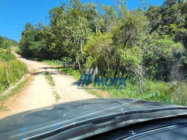 Sítio e chácara venda em Incepa, Campo Largo