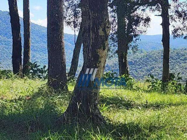 Sítio e chácara venda em Incepa, Campo Largo