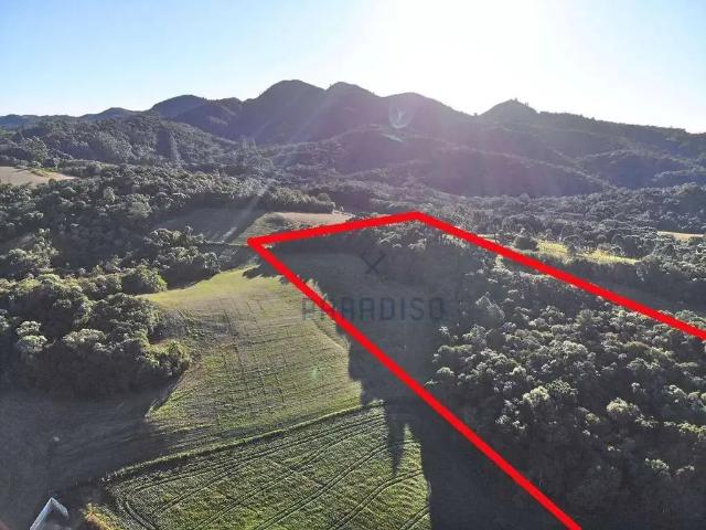 Sítio e chácara venda em Região Geográfica Imediata de Curitiba, Região Metropolitana de Curitiba