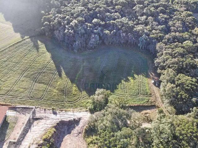 Sítio e chácara venda em Região Geográfica Imediata de Curitiba, Região Metropolitana de Curitiba