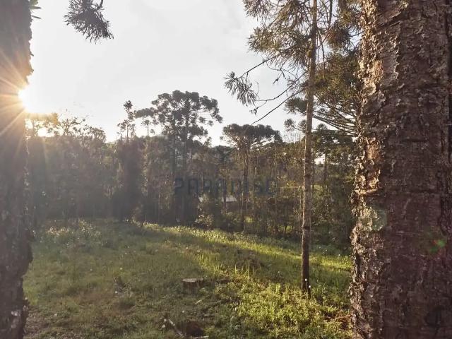 Sítio e chácara venda em Região Geográfica Imediata de Curitiba, Região Metropolitana de Curitiba