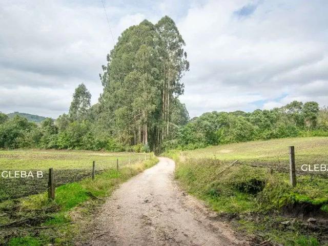 Sítio e chácara venda em Região Geográfica Imediata de Curitiba, Região Metropolitana de Curitiba