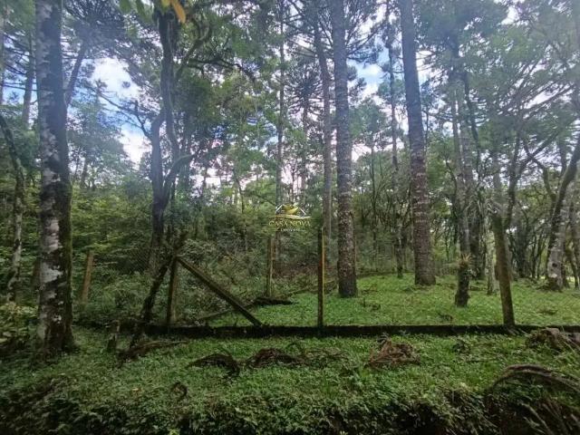 Sítio e chácara venda em Região Geográfica Imediata de Curitiba, Região Metropolitana de Curitiba